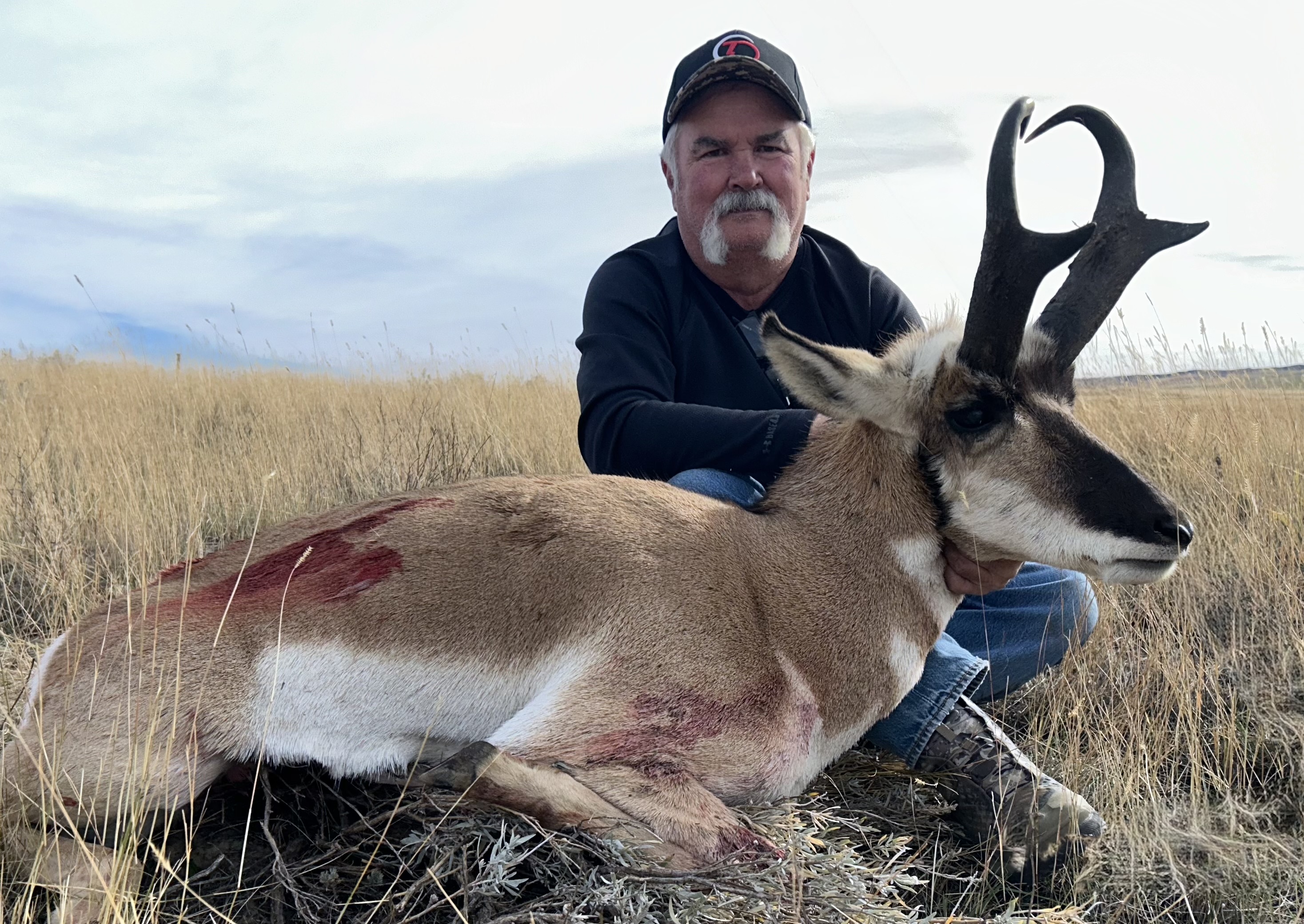 Antelope
